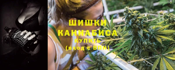 прущий лед Ельня