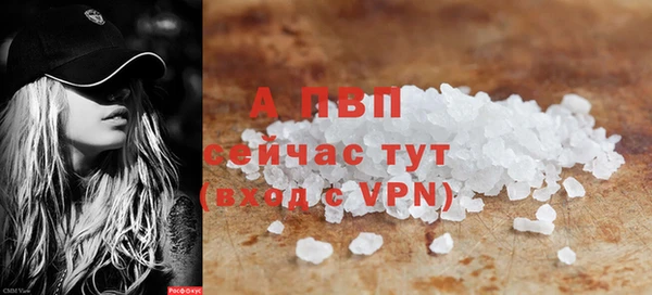 прущий лед Ельня