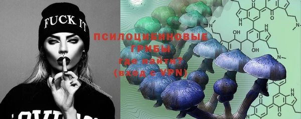 прущий лед Ельня