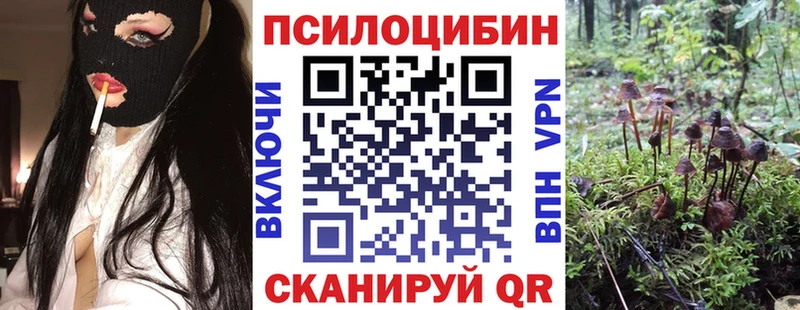 Купить закладки  Первомайск  Псилоцибиновые грибы мицелий 